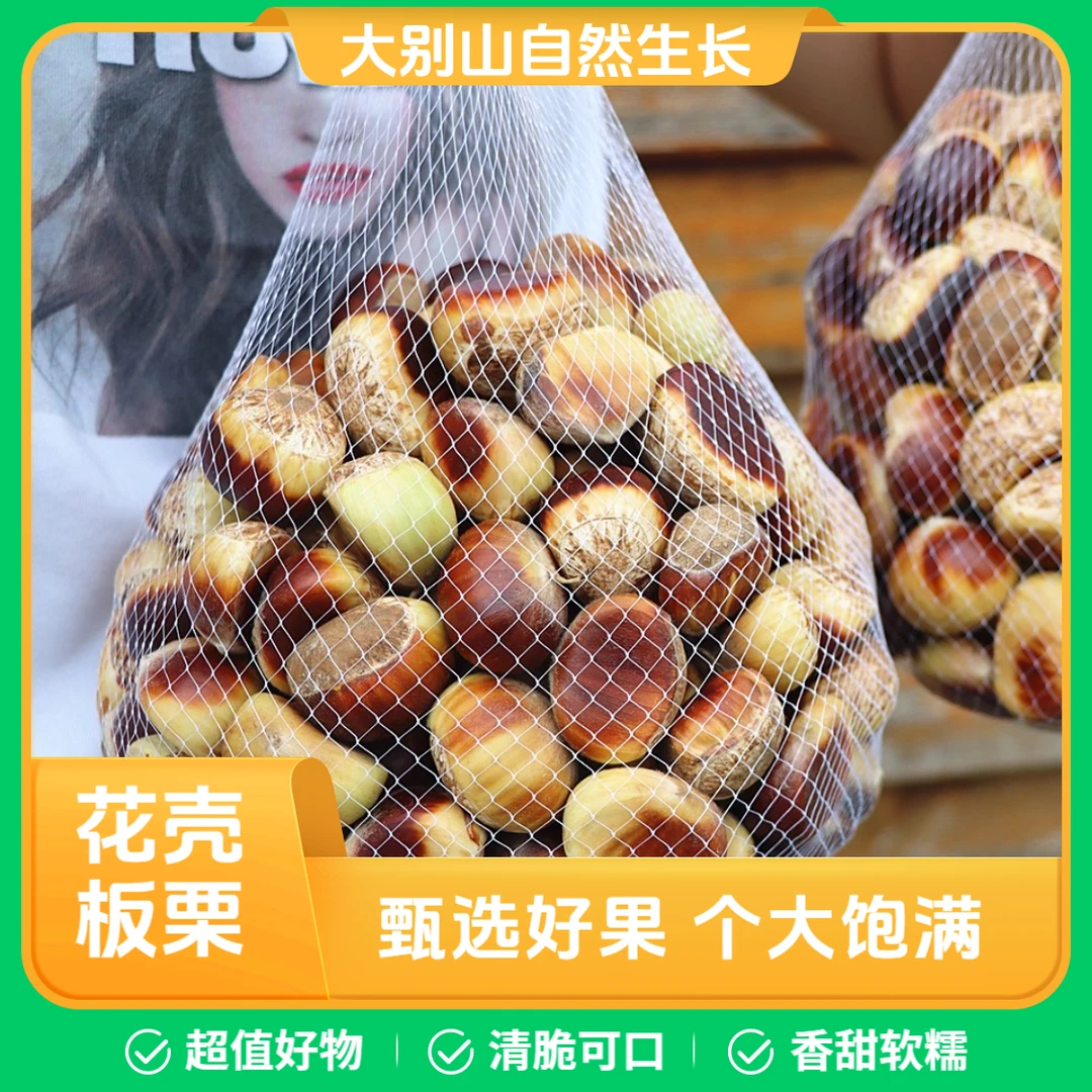 2025年大别山花壳生板栗新鲜采摘毛栗子零食坚果非野生锥栗