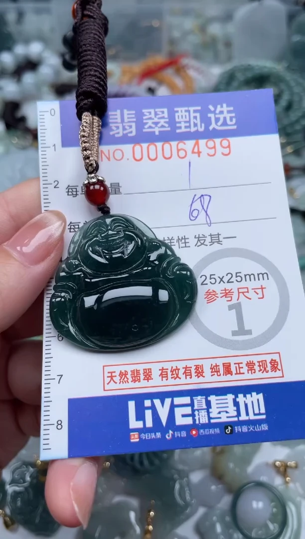 翡翠未镶嵌颈饰00..6499