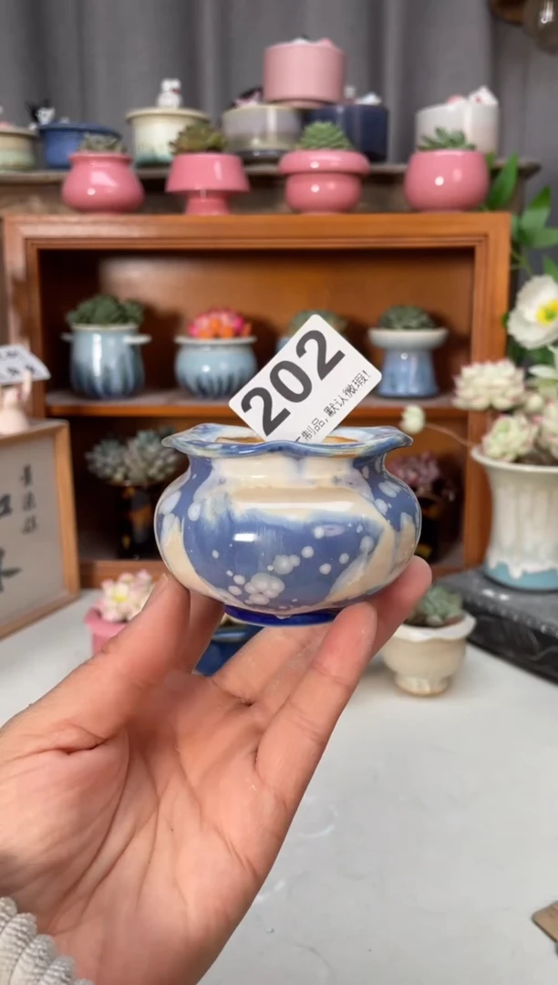 瓷片202小芳花盆直播编号