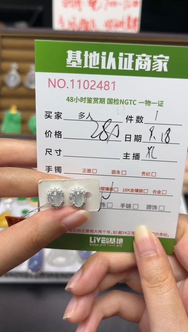银S925镶嵌翡翠耳饰多人