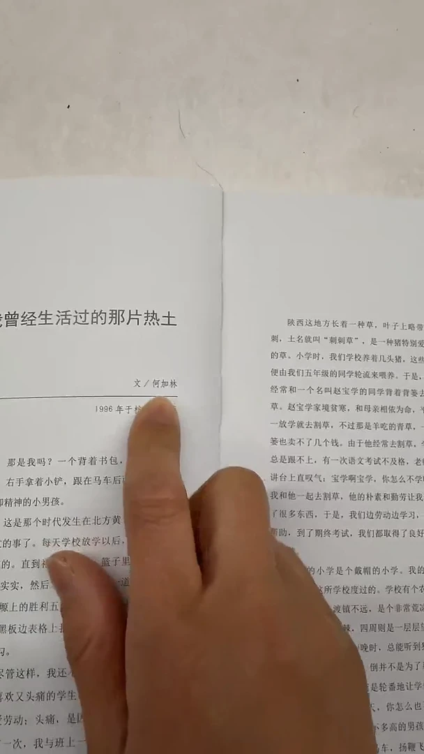 纸本1炳山艺术--何老师作品 书