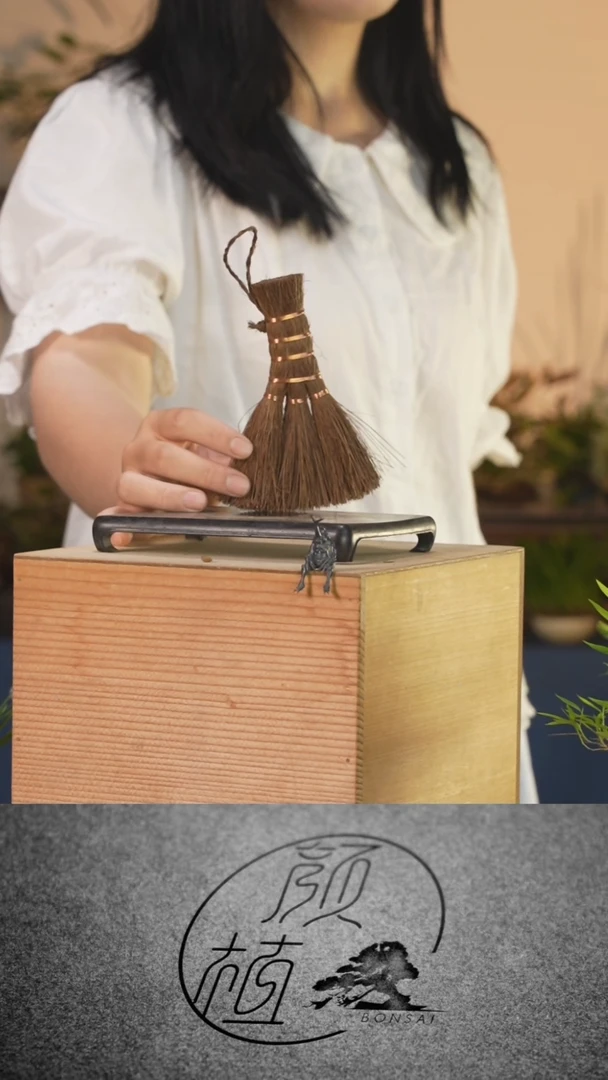 完全开放懒*～01 草本植物 中通