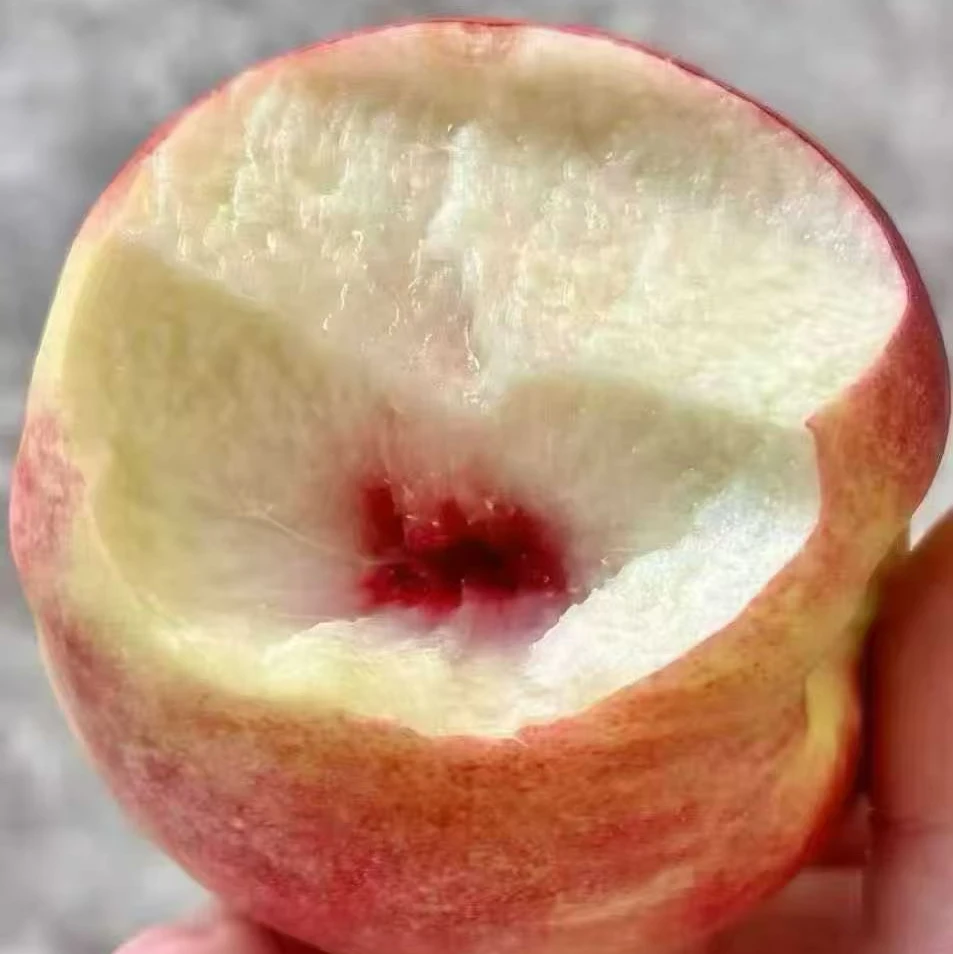 精品秋桃一份2斤左右