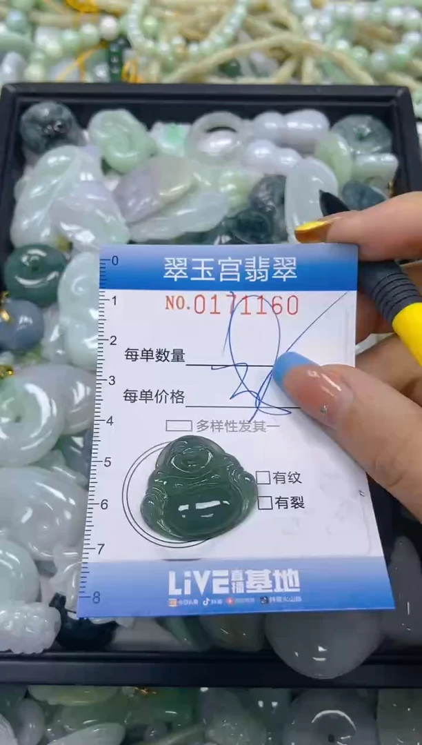 翡翠未镶嵌颈饰闪购0171160