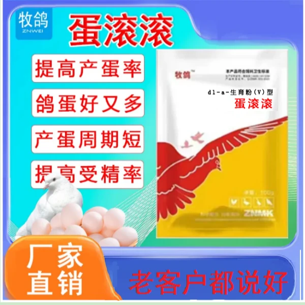 蛋滚滚鸽子增蛋王