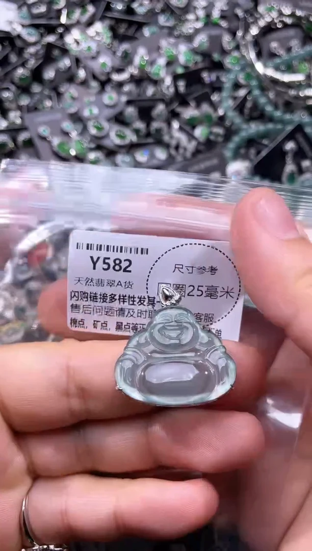 翡翠未镶嵌颈饰Y582吊坠