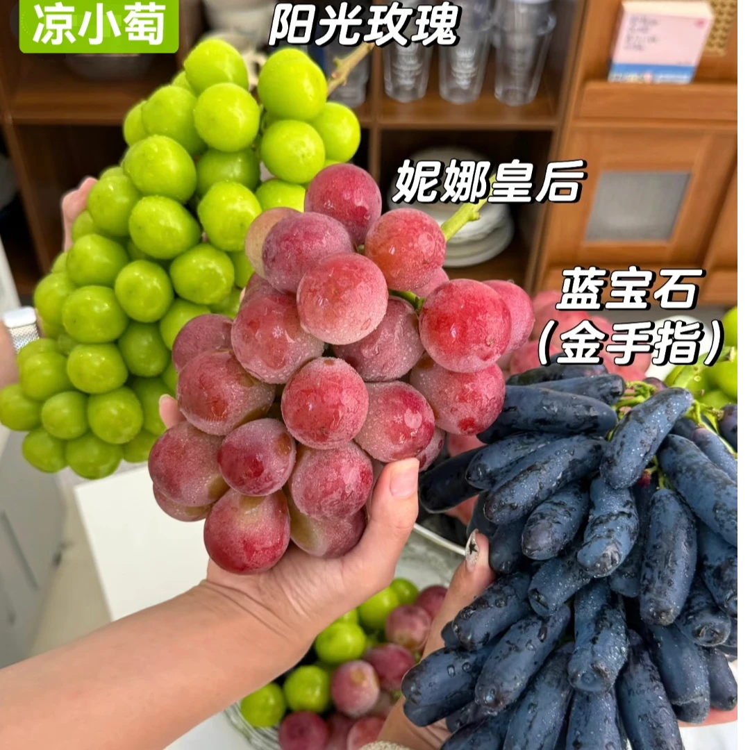川渝【经典三拼组合装】顺丰大凉山阳光玫瑰妮娜皇后蓝宝石葡萄5斤拼装四川省