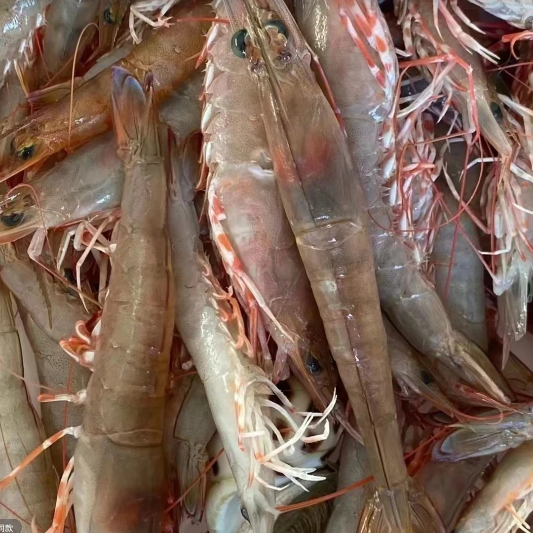 514生鲜 本港海卢虾 3斤 5斤装 25-30条一斤