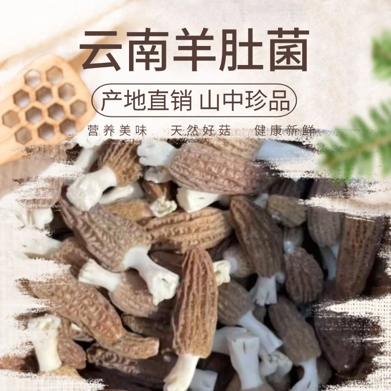 云南大理剑川县新鲜羊肚菌煲汤500g/份
