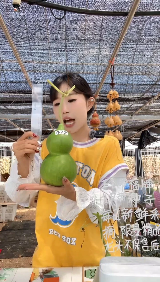 472天然葫芦摆件 一物一拍龙头不保售后