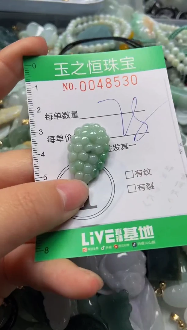 【闪购商品】翡翠颈饰未镶嵌闪购0048530