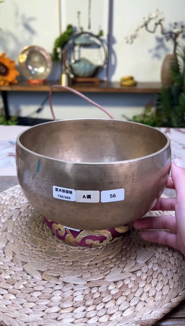 【闪购商品】里木那口径17CM-A调(无配件)