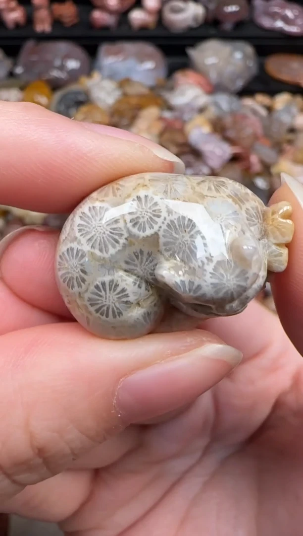 颈饰未镶嵌硅化珊瑚（珊瑚玉）786