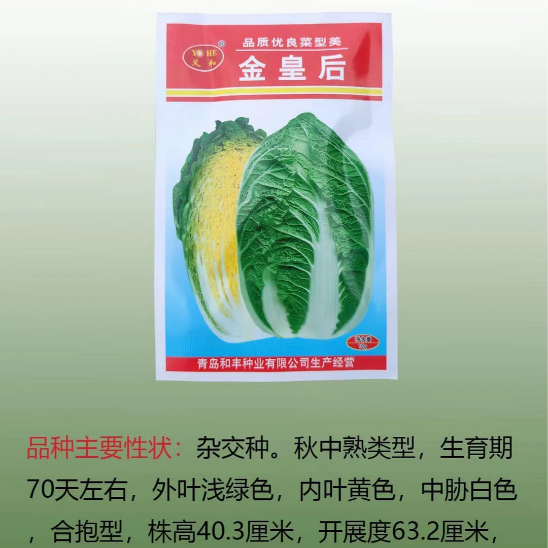 义和秋黄心大白菜金皇后抗病早熟大白菜种籽秋季品质种子娃娃菜
