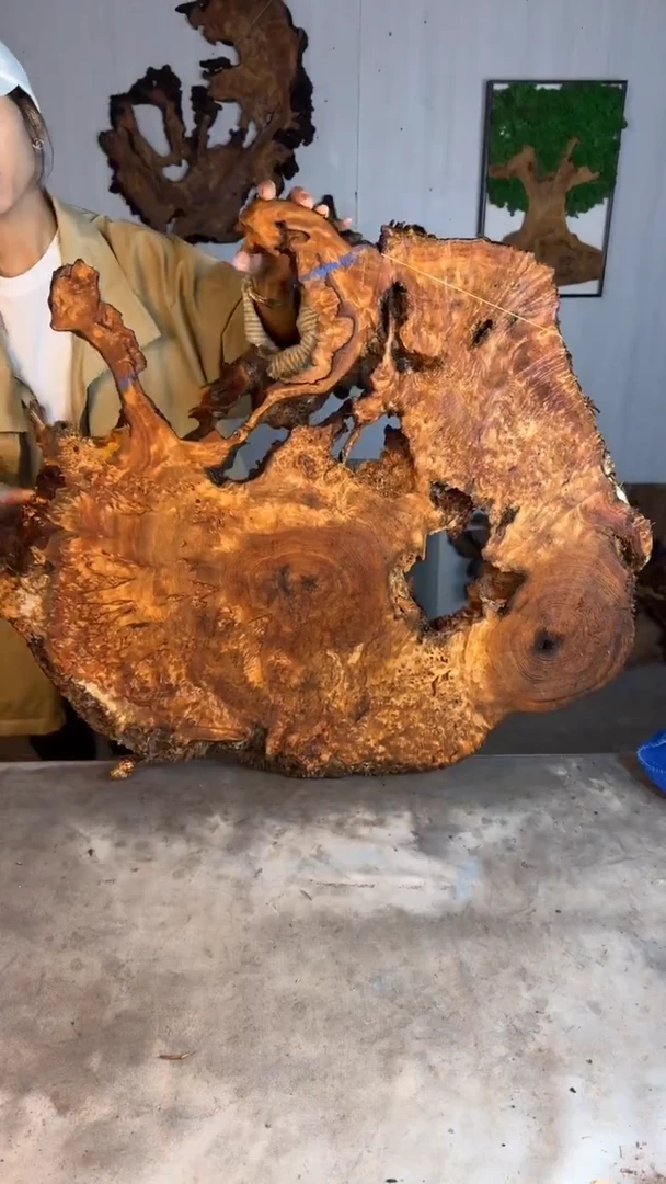 香杉木木头款杉木瘤挂件【原料】029