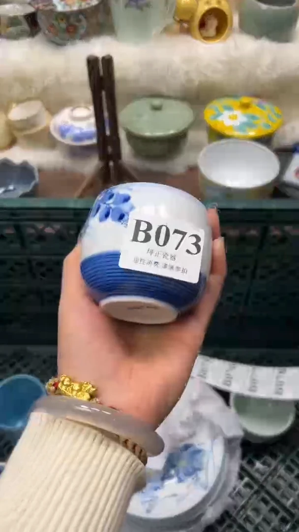 【闪购商品】瓷片          B073