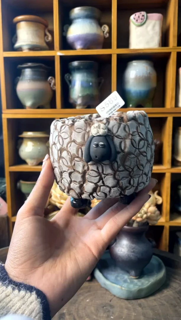 589内口7【多肉花盆多肉盆】