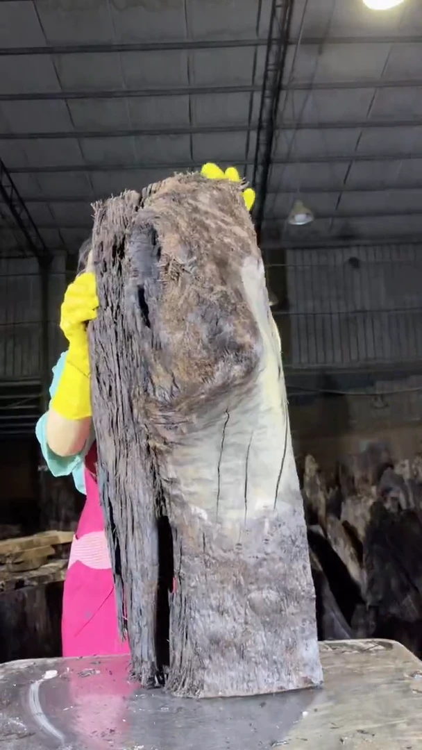 金丝楠金丝楠小叶桢楠89