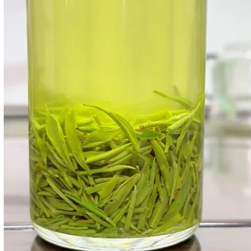 2025毛尖新茶 雨前中芽  鲜爽耐泡厚实醇正   双十一活动福利