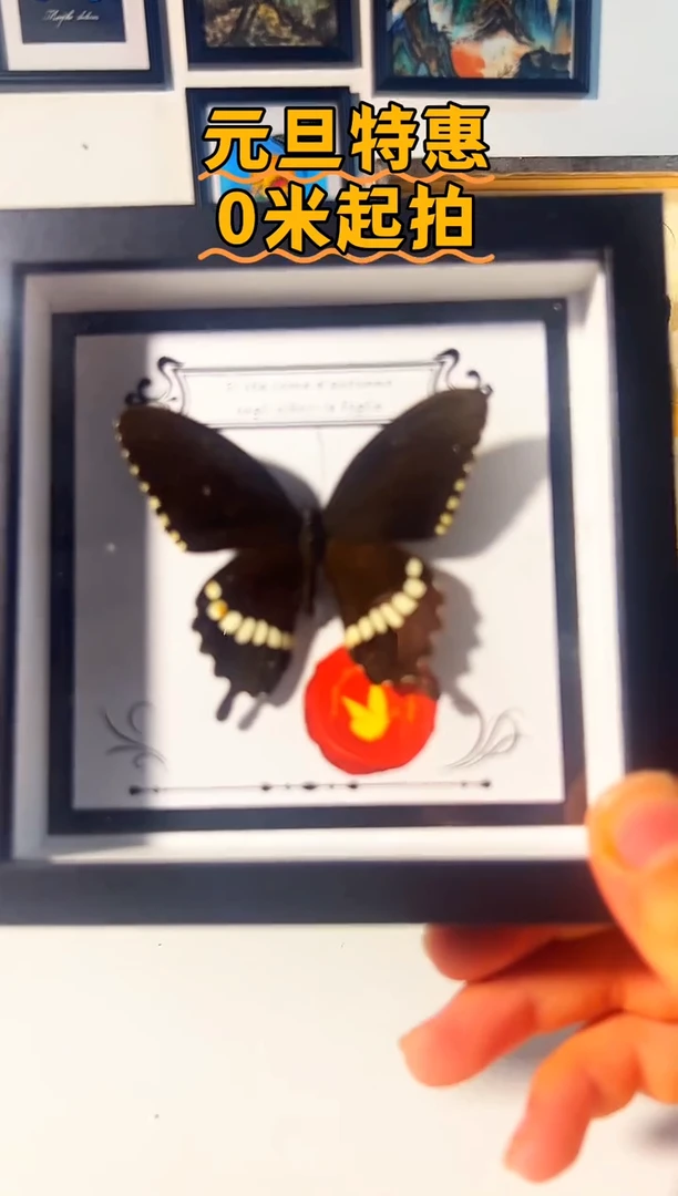 有机玻璃346845864