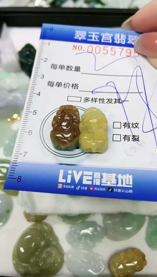 【闪购商品】翡翠颈饰未镶嵌闪购0055795