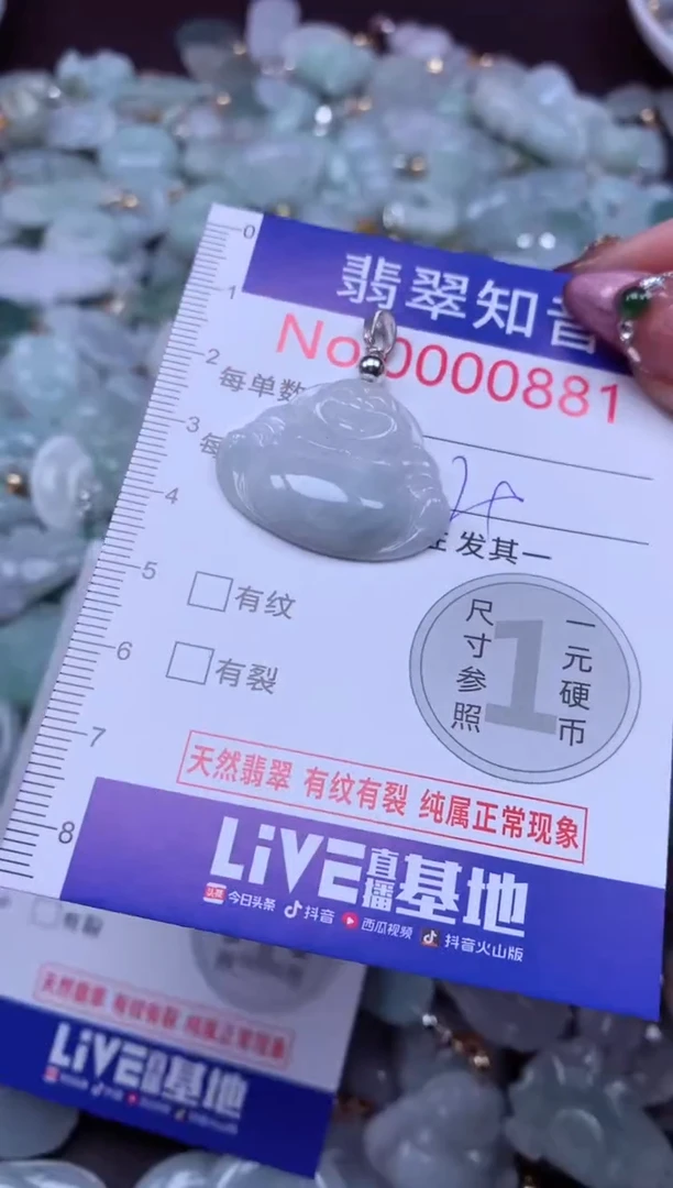 吊坠(不含链)未镶嵌翡翠881