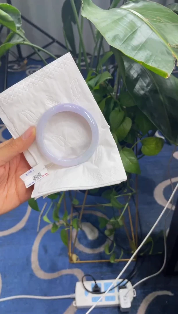 未镶嵌手镯翡翠9742****