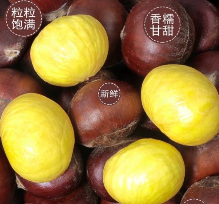 【赵老师专属】临沂新鲜现摘油栗子口感甜糯粉面香糯好剥皮