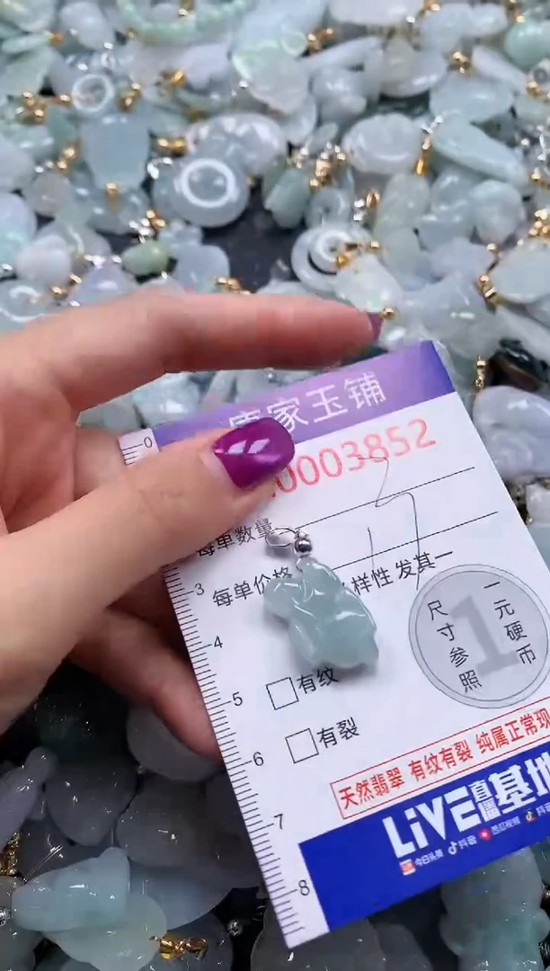 颈饰未镶嵌翡翠3852