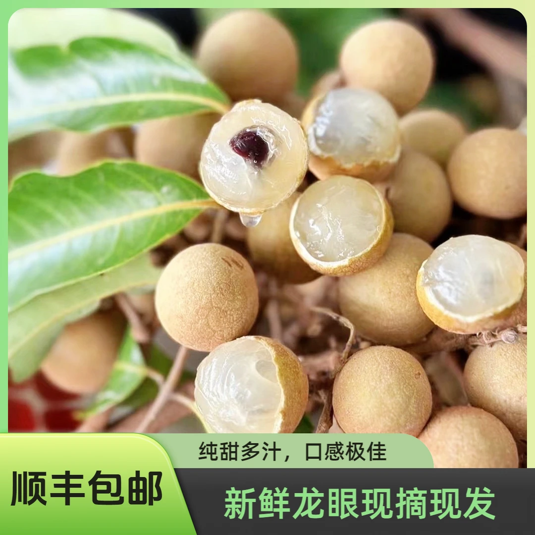 【顺丰包邮】石硖龙眼桂圆云南潞江坝高山应季水果大龙眼现摘新鲜
