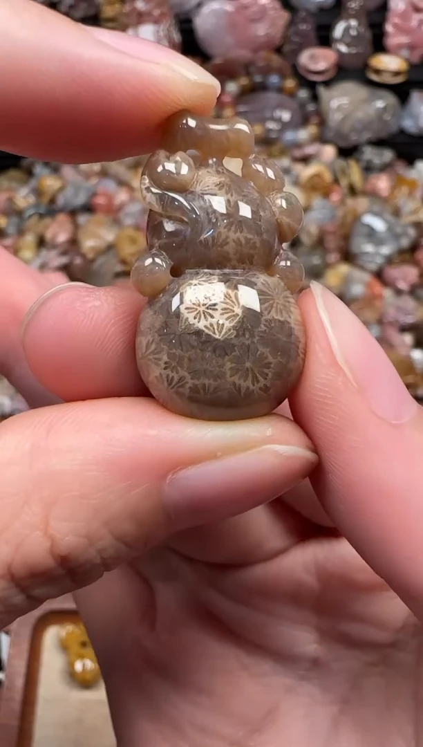 颈饰未镶嵌硅化珊瑚（珊瑚玉）669