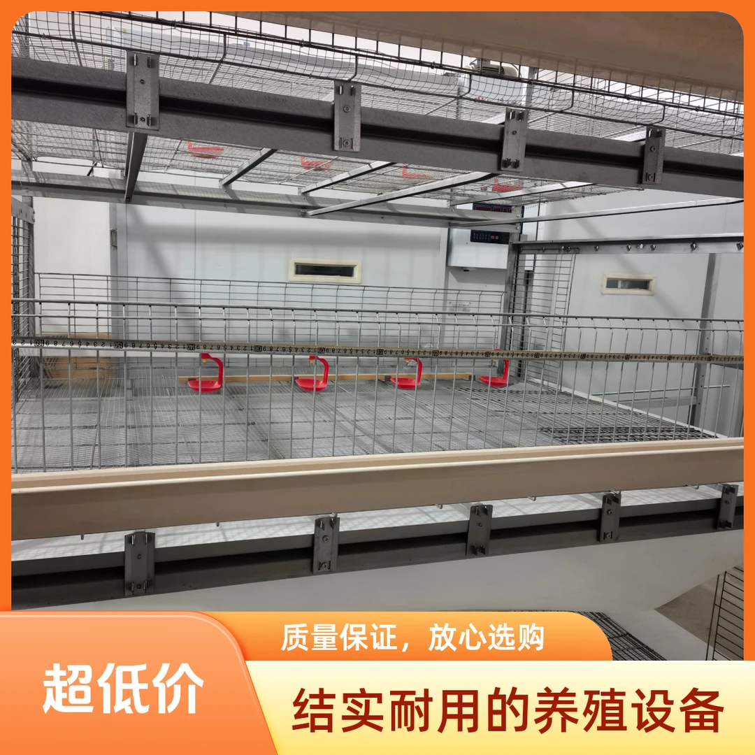 采食门30天以内的家禽 育雏设备
