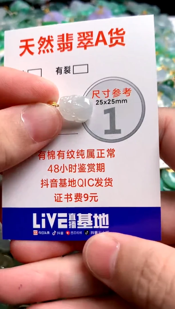 翡翠18K金镶嵌颈饰24002126