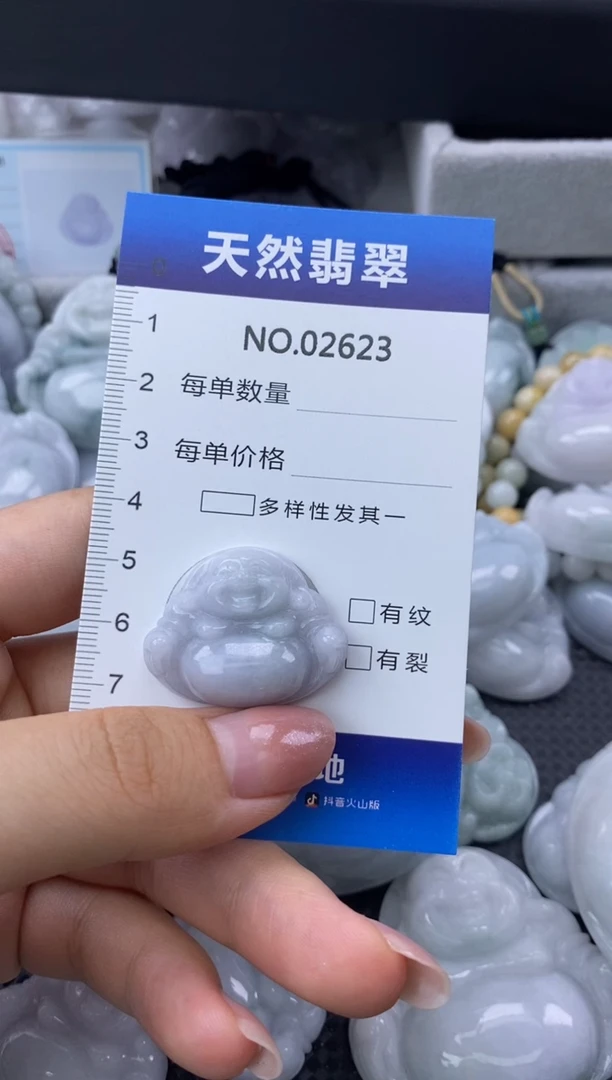 翡翠未镶嵌颈饰缅甸A货翡翠02623