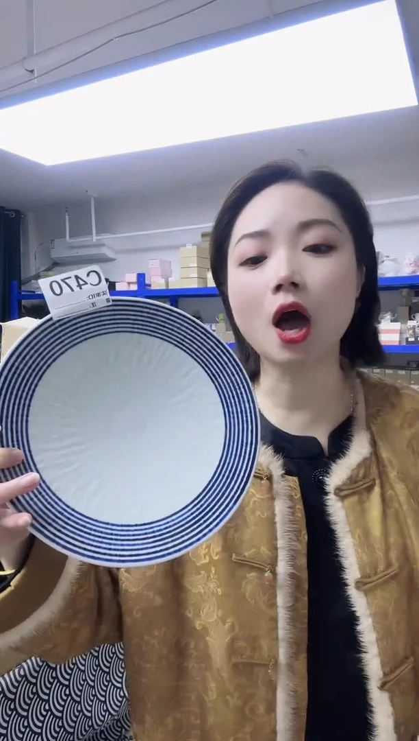 瓷片全新高端瓷器蓝驹24cm大盘C470