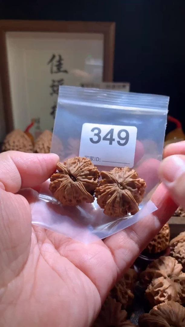 核桃34加尺星辰，别打底，影响二次销售不退不换