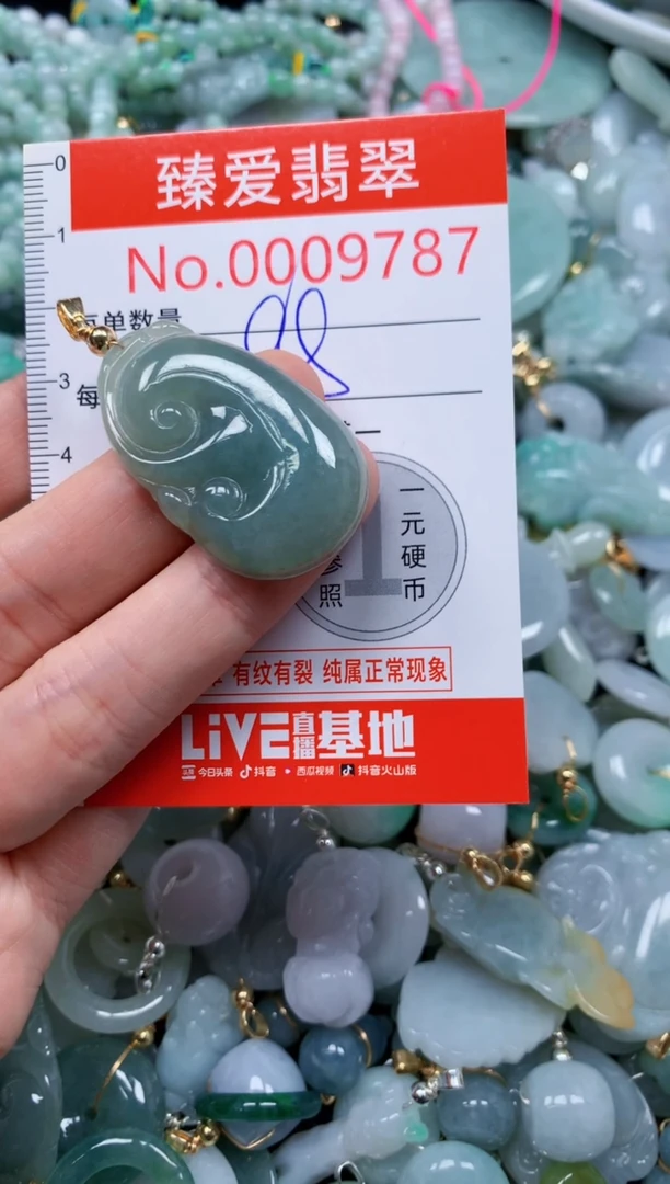 翡翠未镶嵌吊坠(不含链)9787