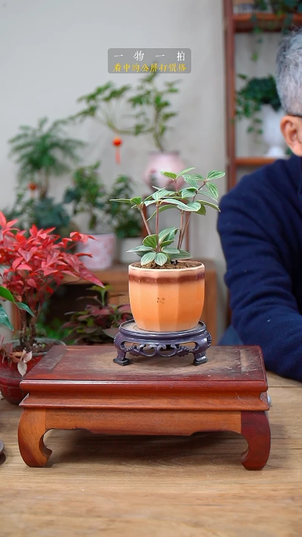 完全开放为***猫豆瓣绿076