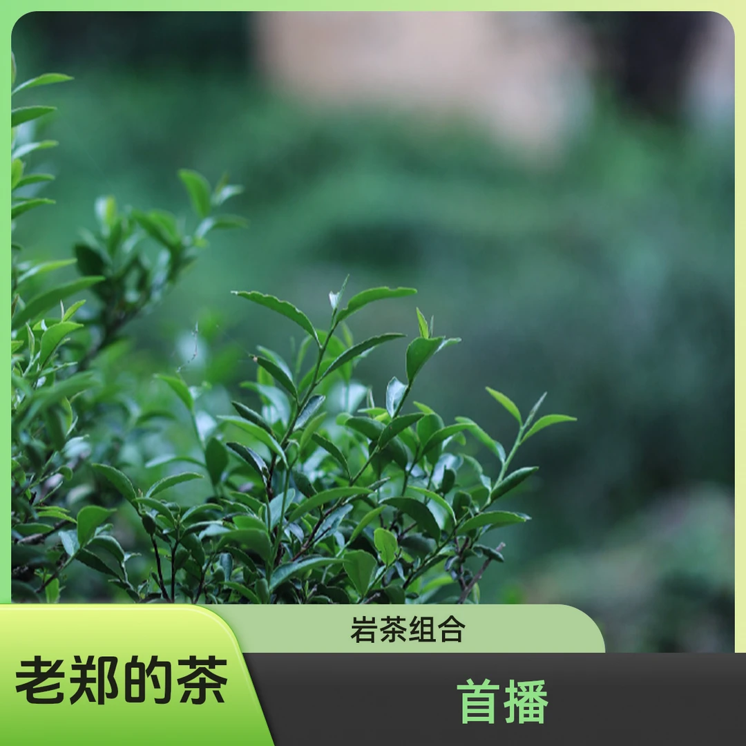 母亲的爱 小鬼洞+次第花开 武夷岩茶 乌龙茶 茶叶  限定