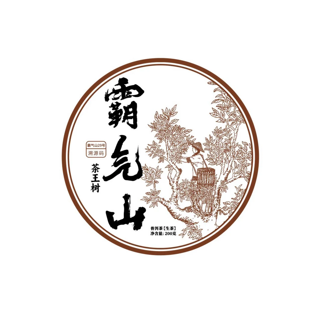 2024年霸气山子圆家茶王树单株普洱茶200g茶饼