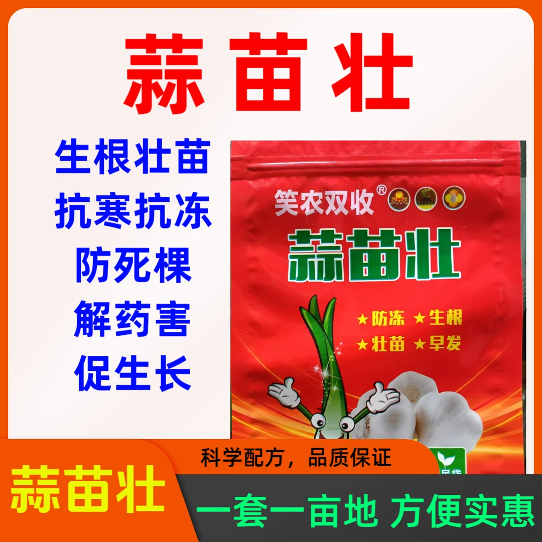 蒜苗壮 大蒜防寒防冻营养壮苗生根叶面肥组合
