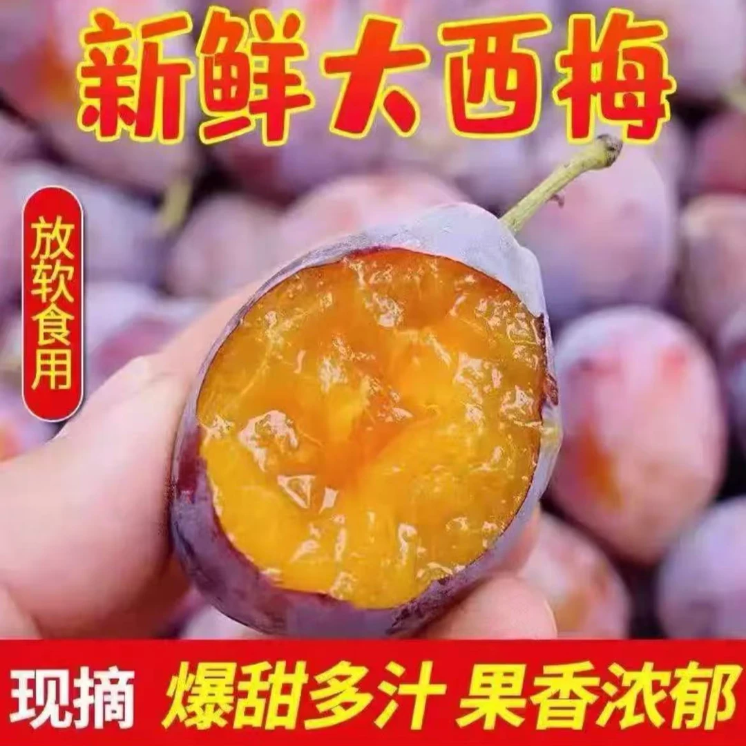 Z新鲜正宗现摘头茬西梅香甜多汁当季水果 孕妇也能吃