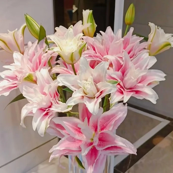 【花喜专属】『重瓣百合 伊莎贝拉』 今日下单明日送达 生活鲜切花同城批发直播