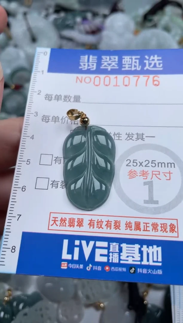 颈饰未镶嵌翡翠10776