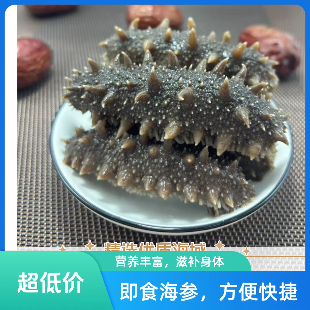 【好口感高复购】现场挑选即食海参大连辽刺参新鲜活鲜食海参宿舍充饥的食物