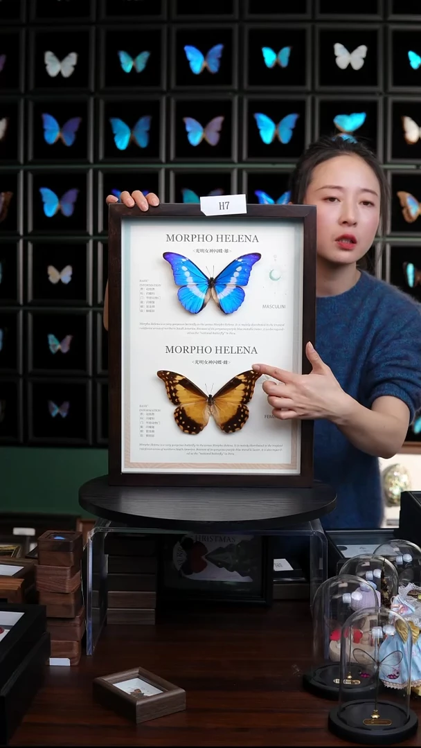 光明女神雌雄组合香樟木框