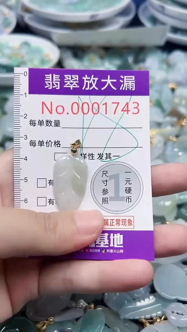 颈饰未镶嵌翡翠1743