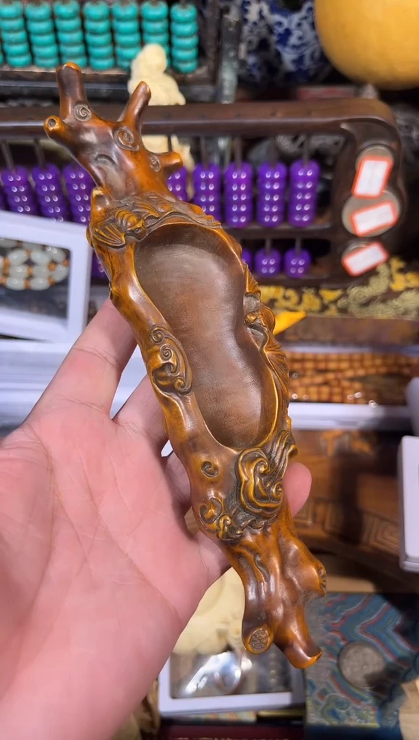 黄杨木11111111111111