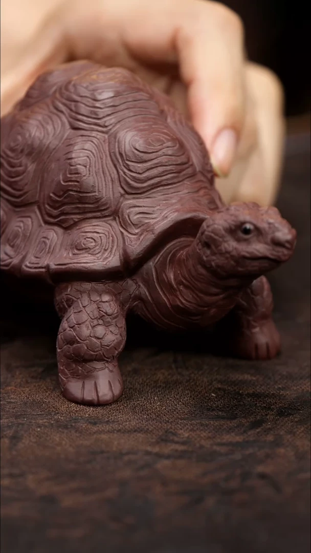 紫砂茶宠紫砂龙龟