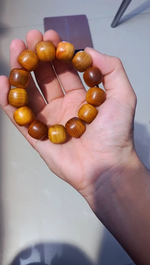 【闪购商品】柏木65崖柏崖柏崖柏崖柏崖柏